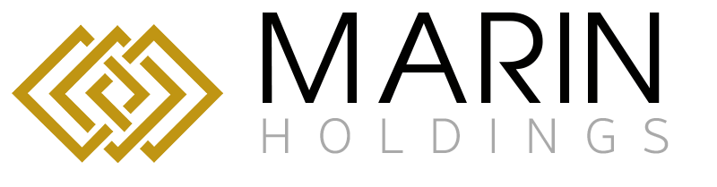 Landiox logo